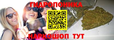 PSILOCYBIN Лесосибирск