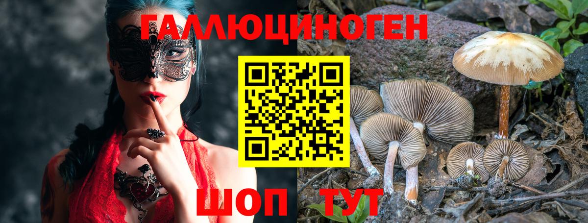 Галлюциногенные грибы MAGIC MUSHROOMS Шелехов
